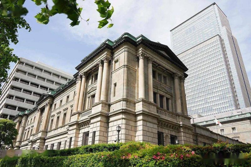 砥砺前行 开创将来｜金利源2025上半年大事记