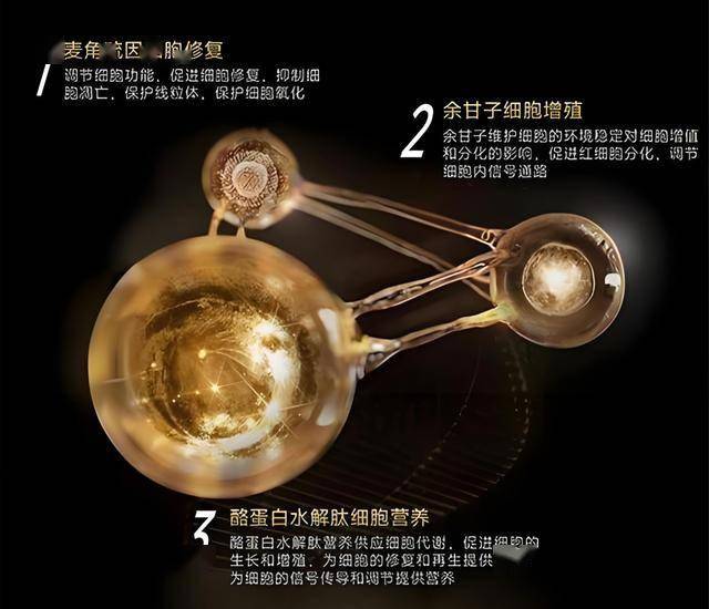 定州：防范非法集资 守好群众“钱袋子”